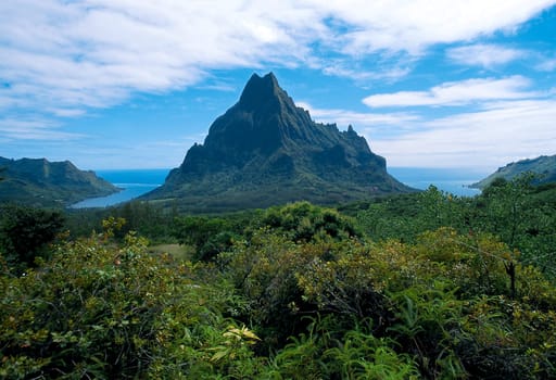 With its striking,steeply rising mountains,Moorea is one of the most beautiful islands in the South Seas.