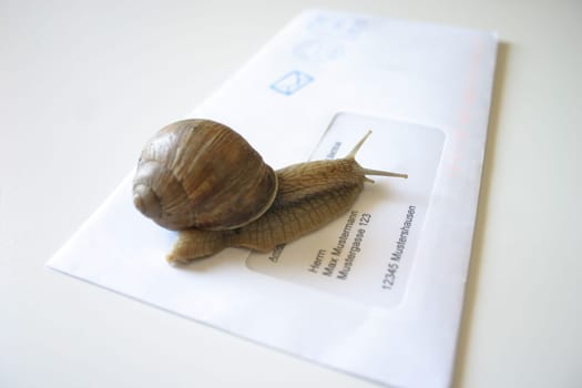 Snail mail