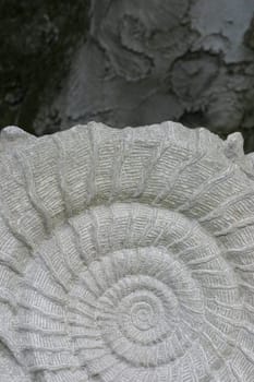 Sculptor's snail