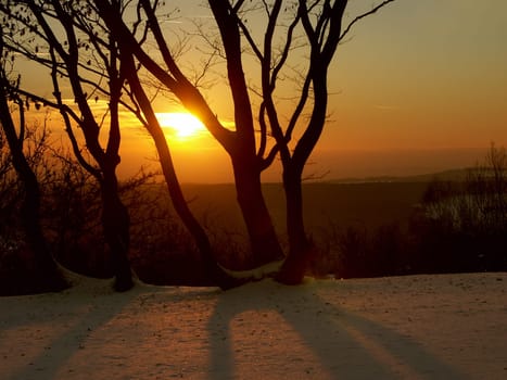 long shadows