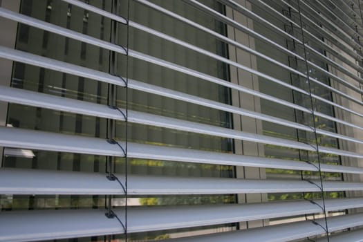 Blinds