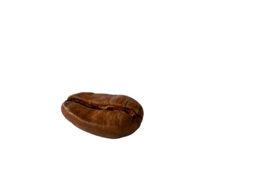 Best Bean