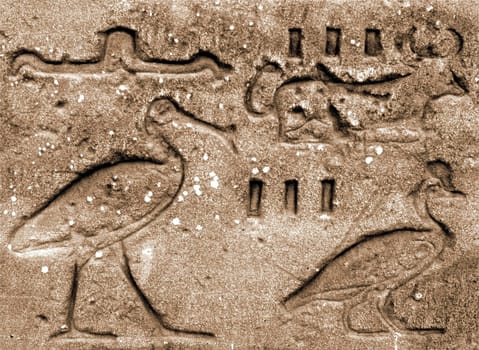 Hieroglyphics. Taken at the Amon Temple of Karnak near Luxor,Egypt 1991