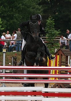 Technology. This horse has developed its own jumping technique. Fold your legs then the bars will also stay put..:-))