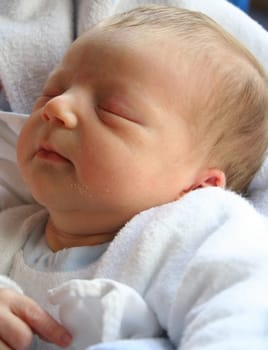 31 hours old