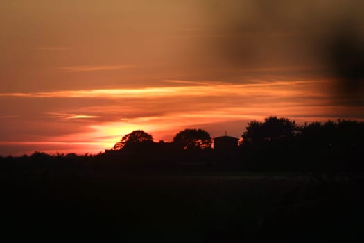 View through my hedge at sunset. Canon D30