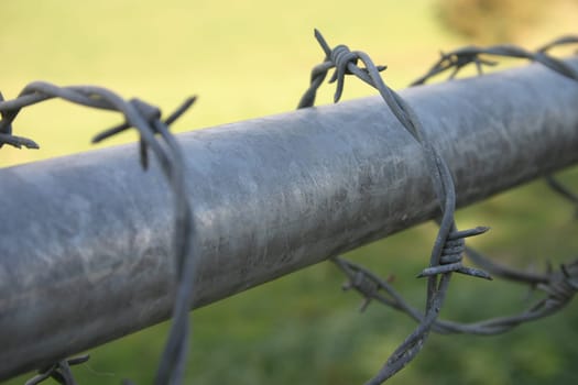 Barbed wire entanglement