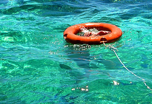 Fun snorkeling. The lifebuoy served as a resting station. I changed the title. Cam: Konica-Minolta