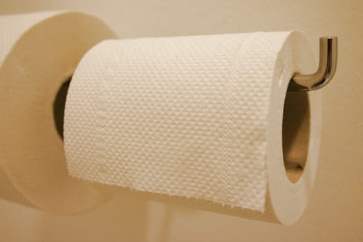Indispensable - toilet paper