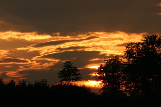 Embers in the sky