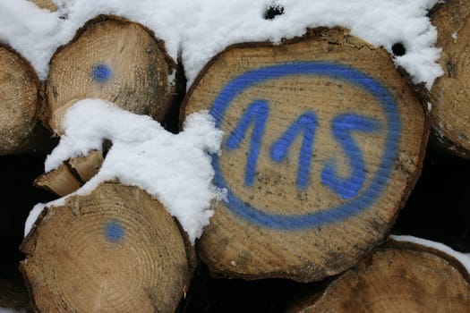 snowy woodpile