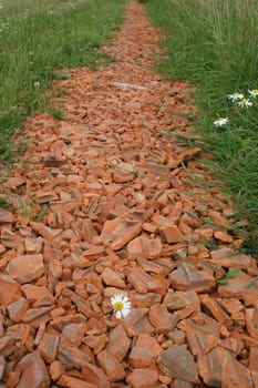Brick debris path