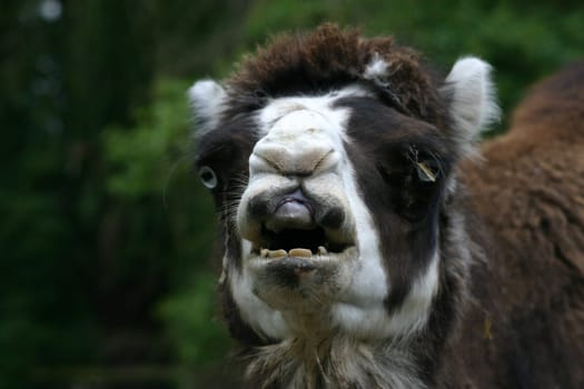 Where is the dentist...