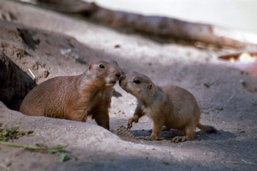You smell so good
