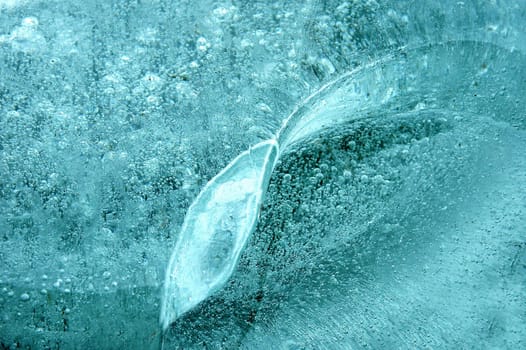 Ice III