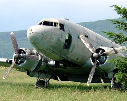 seen at an abandoned airport in Croatia near Gospic