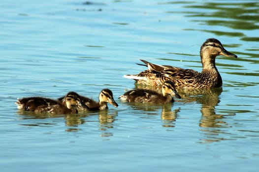Mom and her three