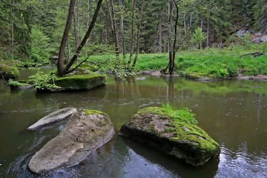 Pure nature