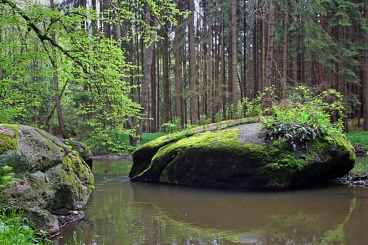Pure nature (3)