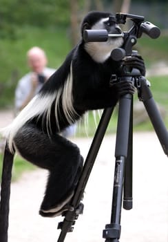 Tripod stability tester