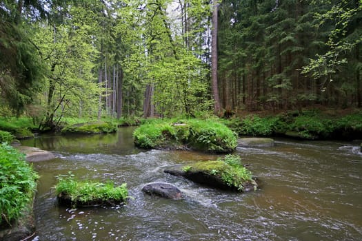 Pure nature (2)