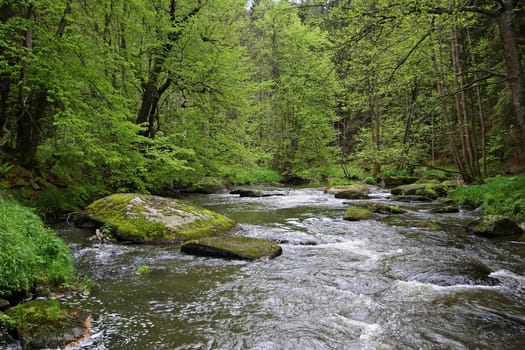 Pure nature (5)