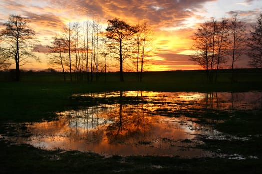 Reflections