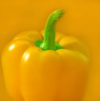 Yellow Edition