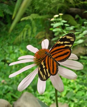 Taken with my small Casio EX-Z4