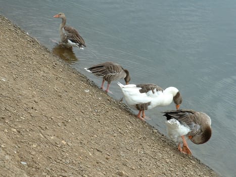 Outliers