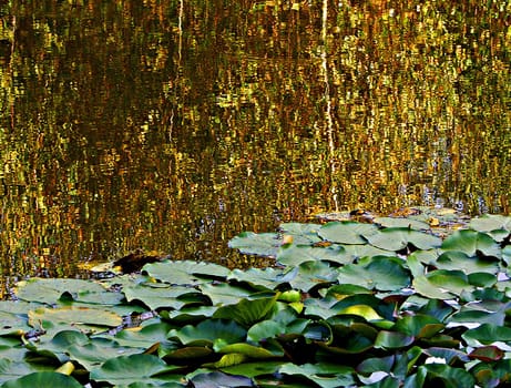 what is almost reminiscent of Monet here is the reflection of autumnally colored birches and a wonderfully warm evening light