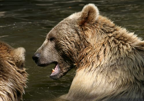 Are you listening to me?