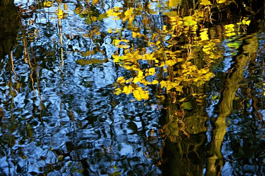 autumnal reflection