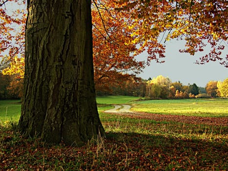 Autumn is coming soon...