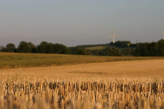 Harvest finished