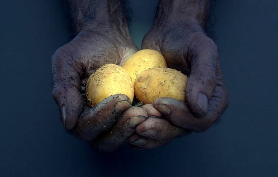 Hands