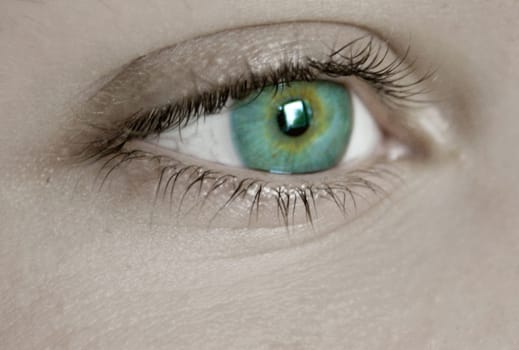 The eye of my cute 14 year old son.