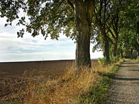 The way