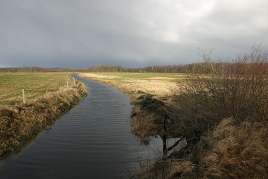 On the edge of the moor