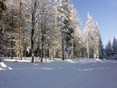 Cross-country ski trail