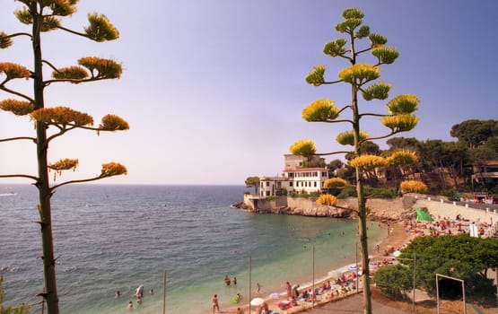 Holidays by the sea