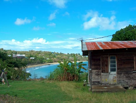 Caribbean