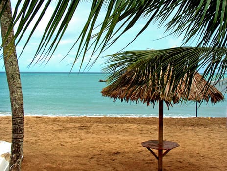Ocean view