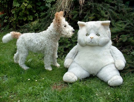 Flocki,my parents' fox terrier,sets his sights on a fat cat. The cat looks a bit skeptical and insecure... -)