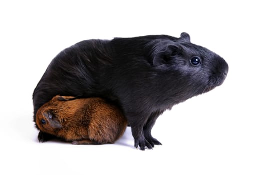 Mother and daughter