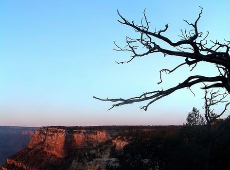 Grand Canyon view