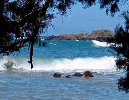 Hawaii big Wave