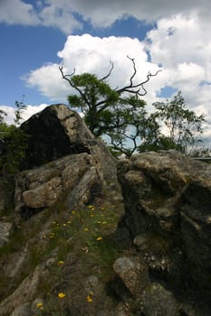 Harz landscape
