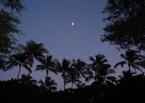 Hawaii at night