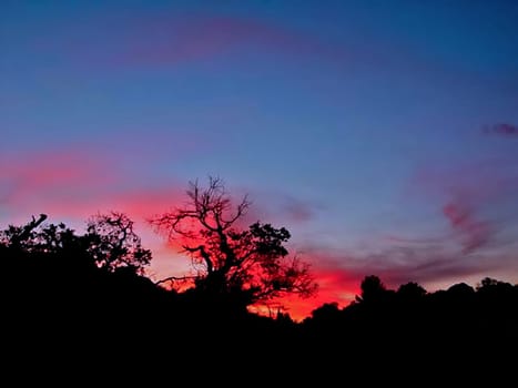 California Sunset 1